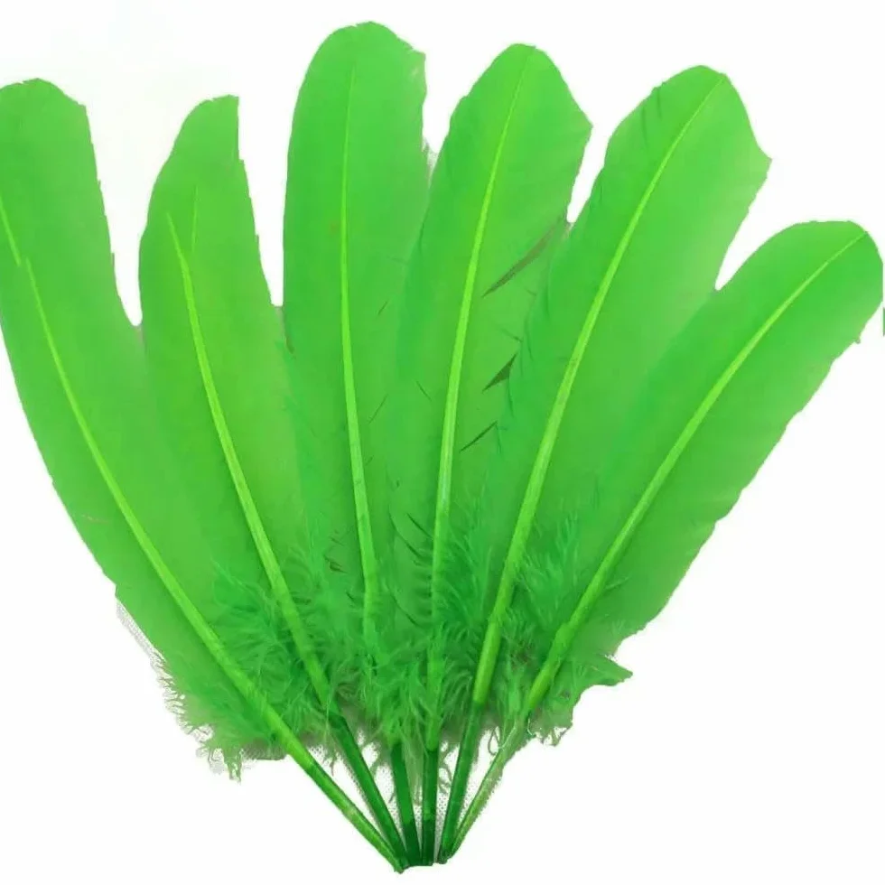 Plumes de faisan carnaval 28-33 cm 11-13 pouces 10 pièces Vert fruit