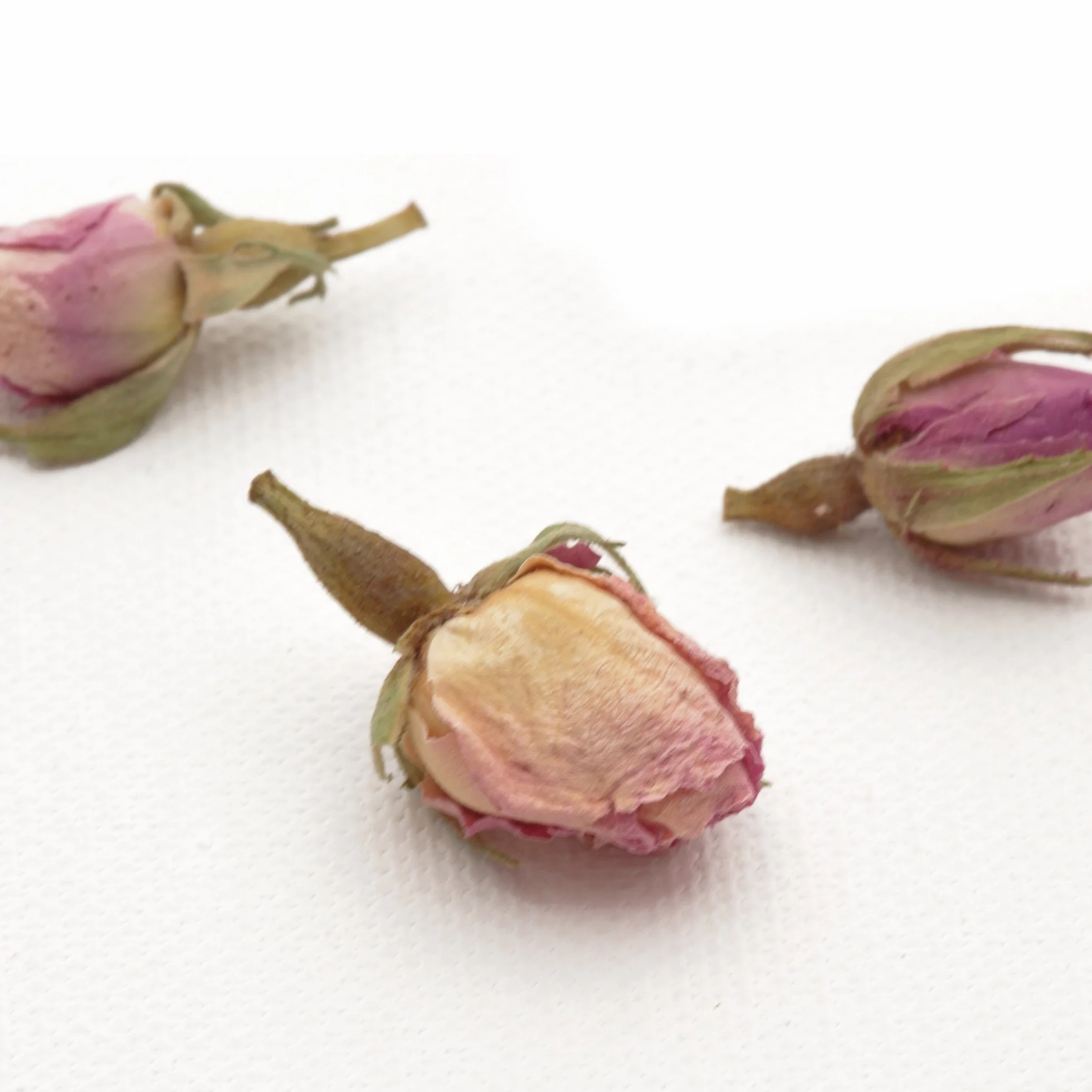 Rosemarie Schulz® Boutons de Roses séchées Parfum de Rose 100 g