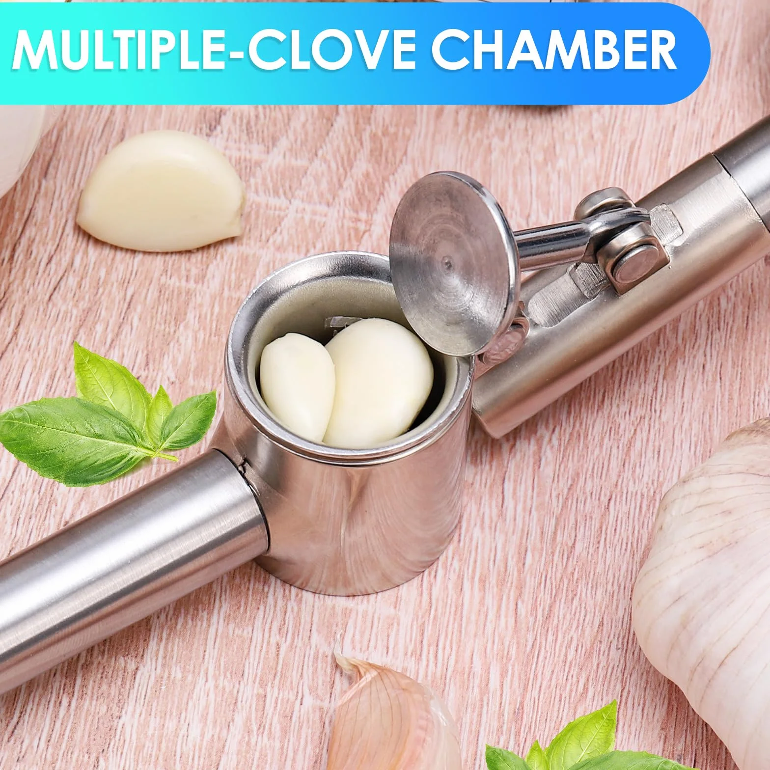 Presse Ail Inox Professionnel, Garlic Crusher, Facile à Presser