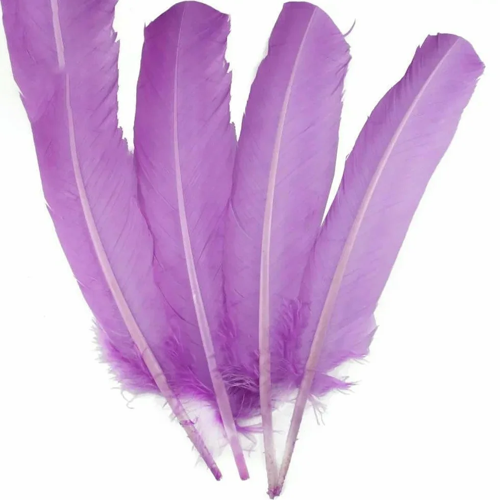 Plumes de faisan carnaval 28-33 cm 11-13 pouces 10 pièces Vert fruit