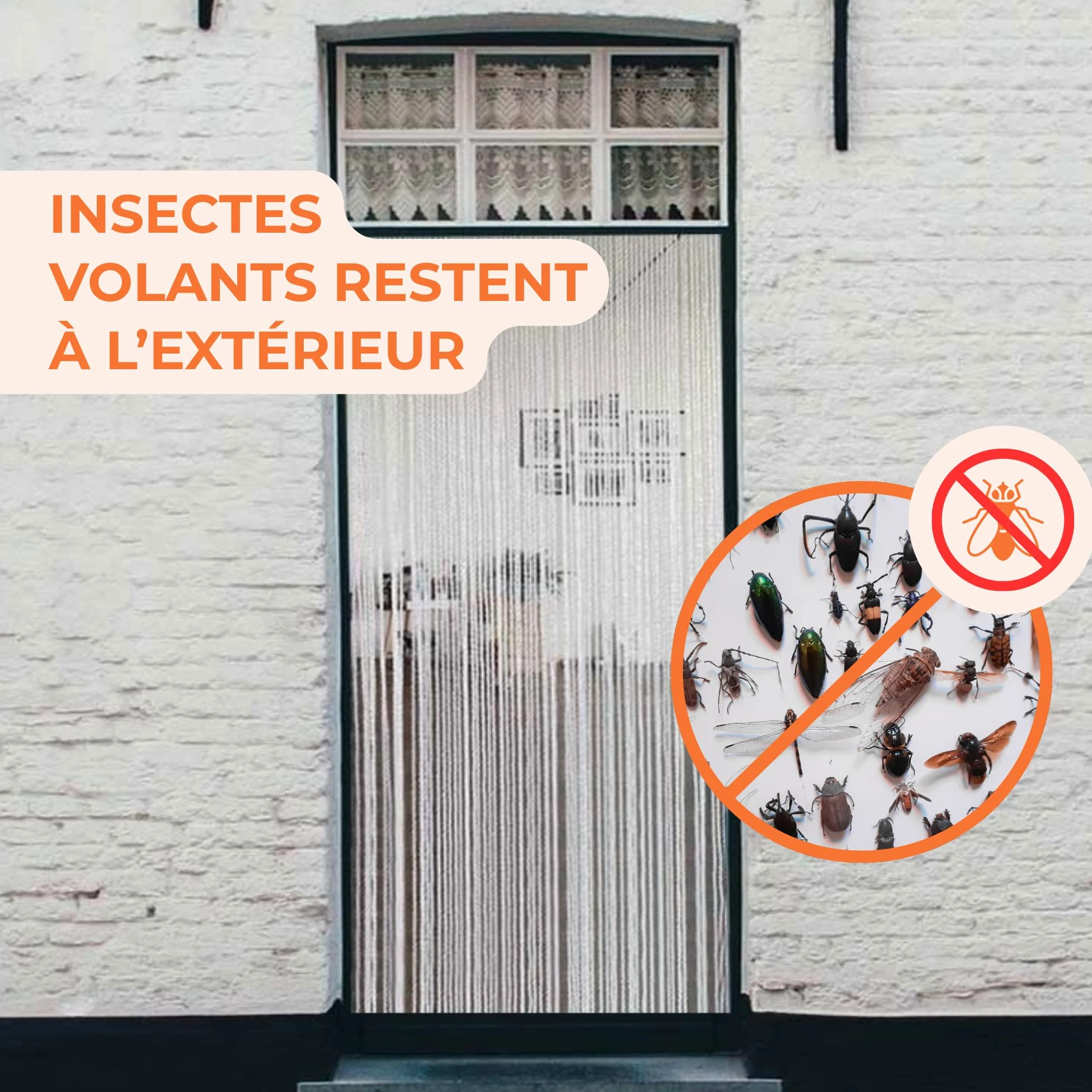 Trente Rideau de Porte Luxe Orchidea Transparent, différentes Tailles, 100 x 220 cm