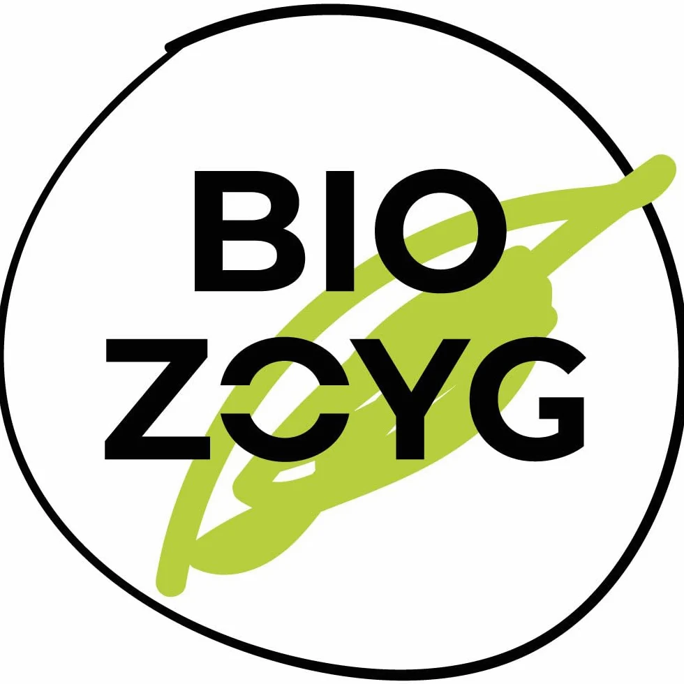 BIOZOYG 250 gobelets cannelés de 300 ml 'Branches' d'hiver pour café à emporter biodégradables à usage unique. Gobelets cannelés en carton compostable non blanchi pour le vin chaud.