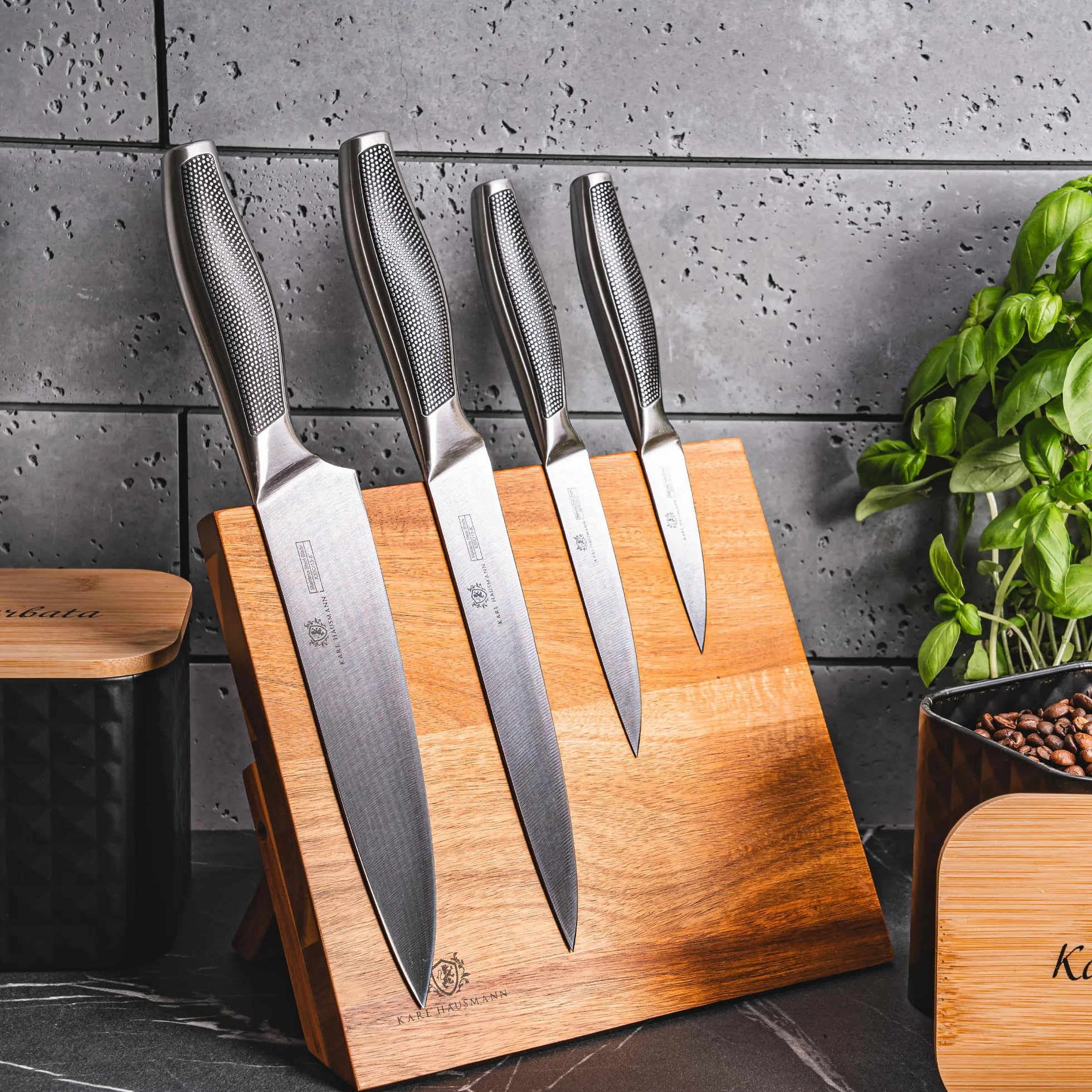 KARL HAUSMANN Bloc Couteaux Magnétique en Bois de Chêne 24x22cm Porte Couteau Aimanté Universel