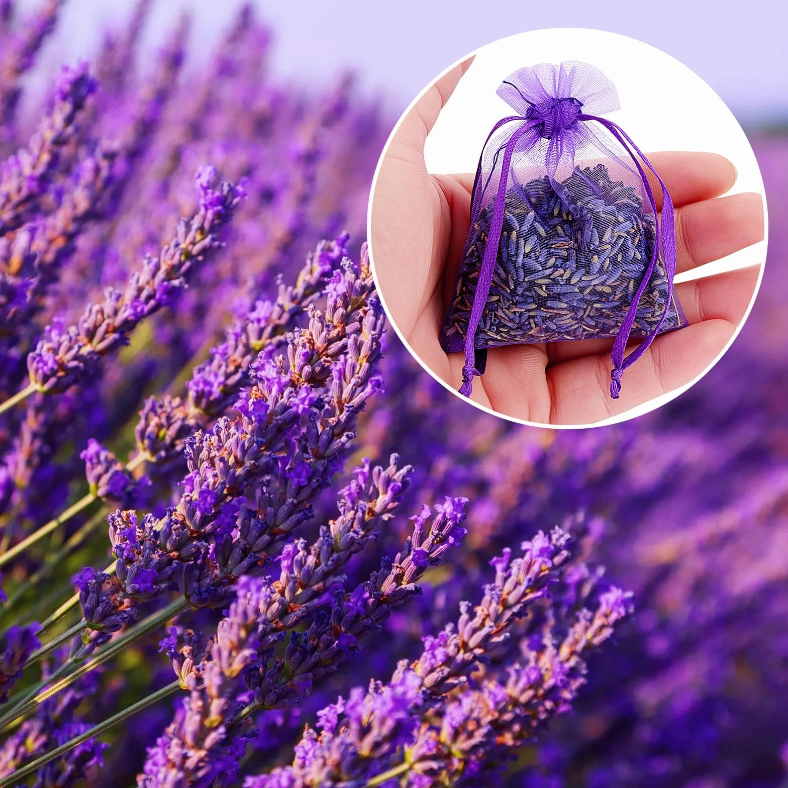 Lavande Séchée Naturelle 20 Sachets pour Armoires et Voiture