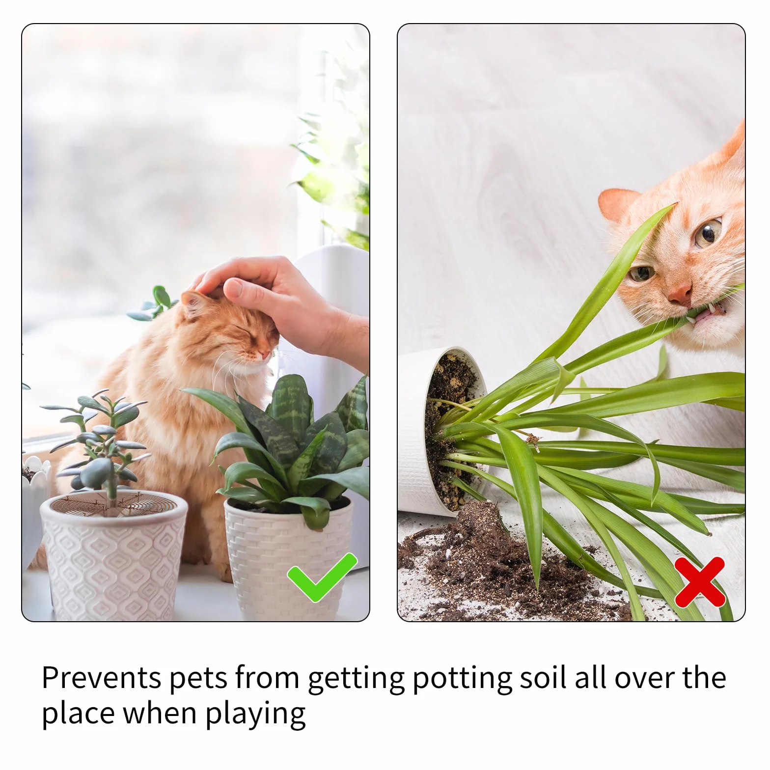 Protection Plante Chat, Grilles de Protection de Pots, 2 Pièces