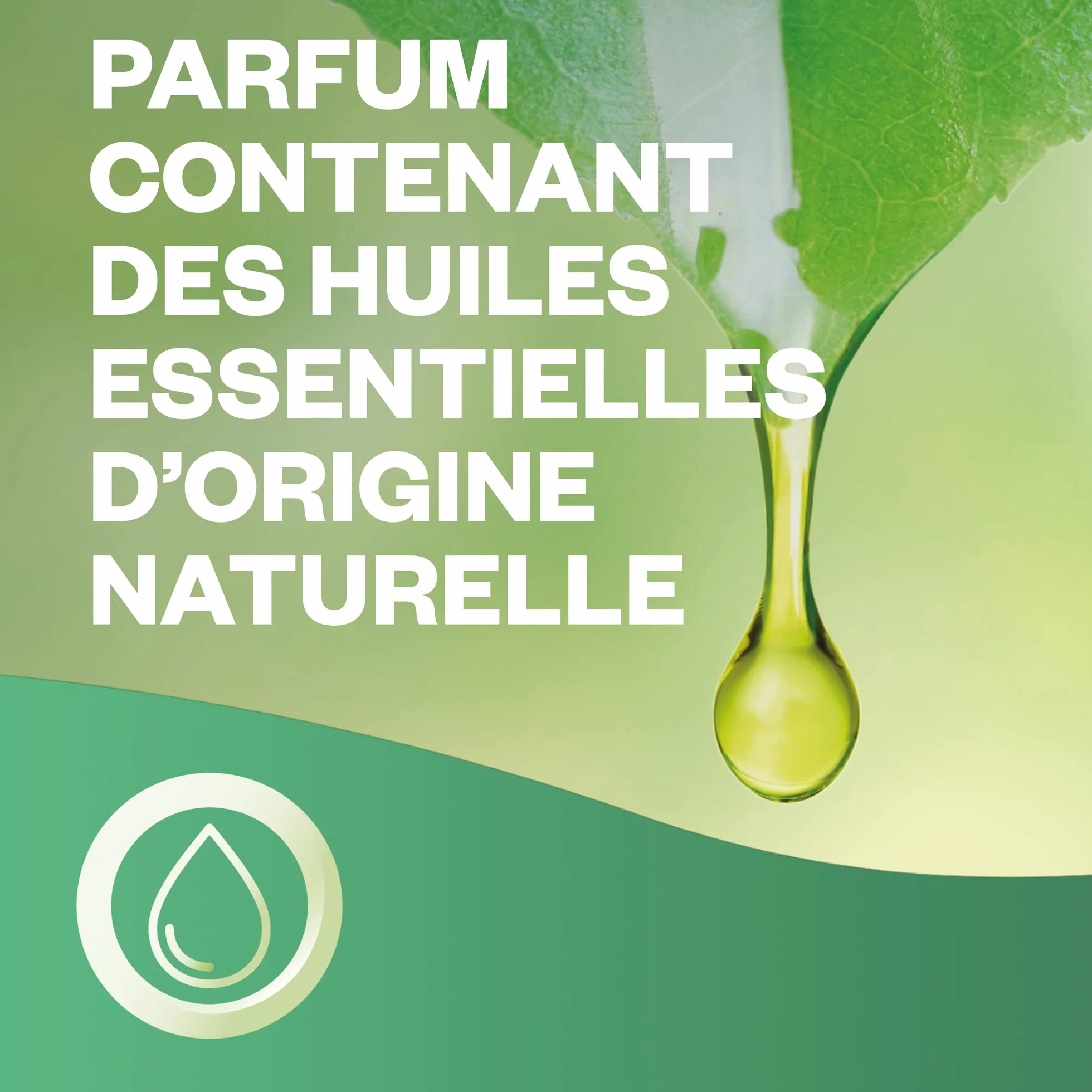Air Wick Désodorisant Maison Spray Automatique Active Fresh 3 Recharges Fleur de Cerisier & Framboise