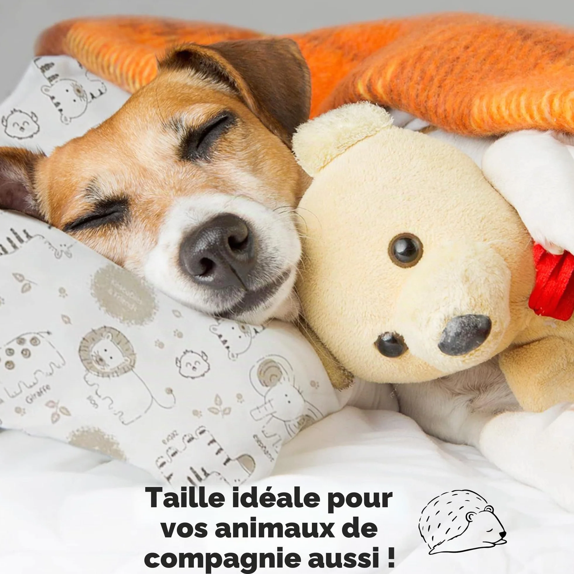 Oreiller pour Tout-Petit en Coton Biologique Doux Lavable en Machine - Taie d'oreiller incluse
