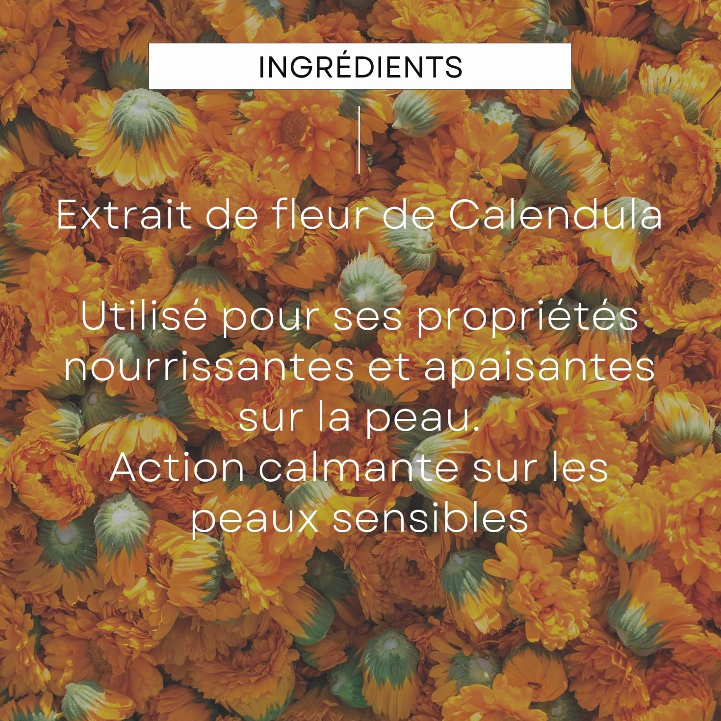 WELEDA Baume pour Mamelons Allaitement 25 g