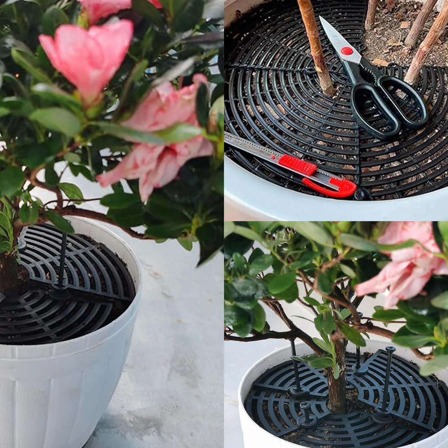 Lot de 2 protections pour plantes pots de fleurs couvercle 30 cm noir intérieur extérieur protection pot de fleurs chats