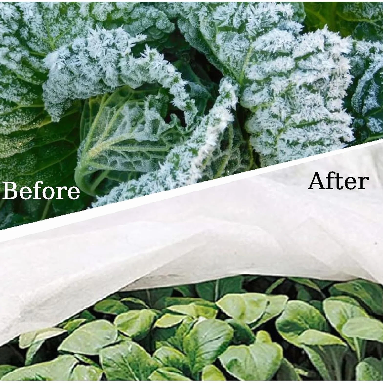 Voile Hivernage Plante Exterieur 3x5m Protection Contre Le Gel Respirant Chaud