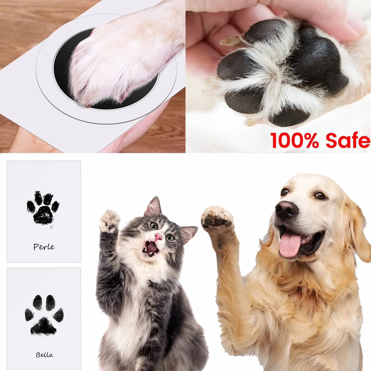 Kit Empreinte Chien et Chat avec 2 Cadres Photo Souvenir Tatouage