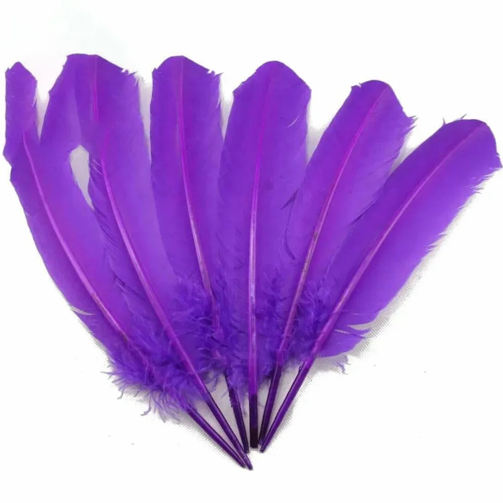 Plumes de faisan carnaval 28-33 cm 11-13 pouces 10 pièces Vert fruit