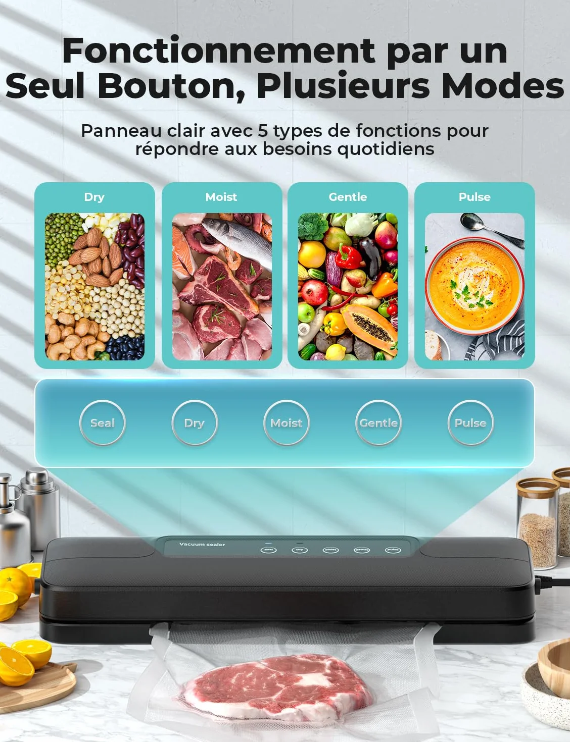 Machine Sous Vide Alimentaire 5 en 1, Appareil Sous Vide avec Mode Sec et Humide, 10 Sacs Inclus, Noir