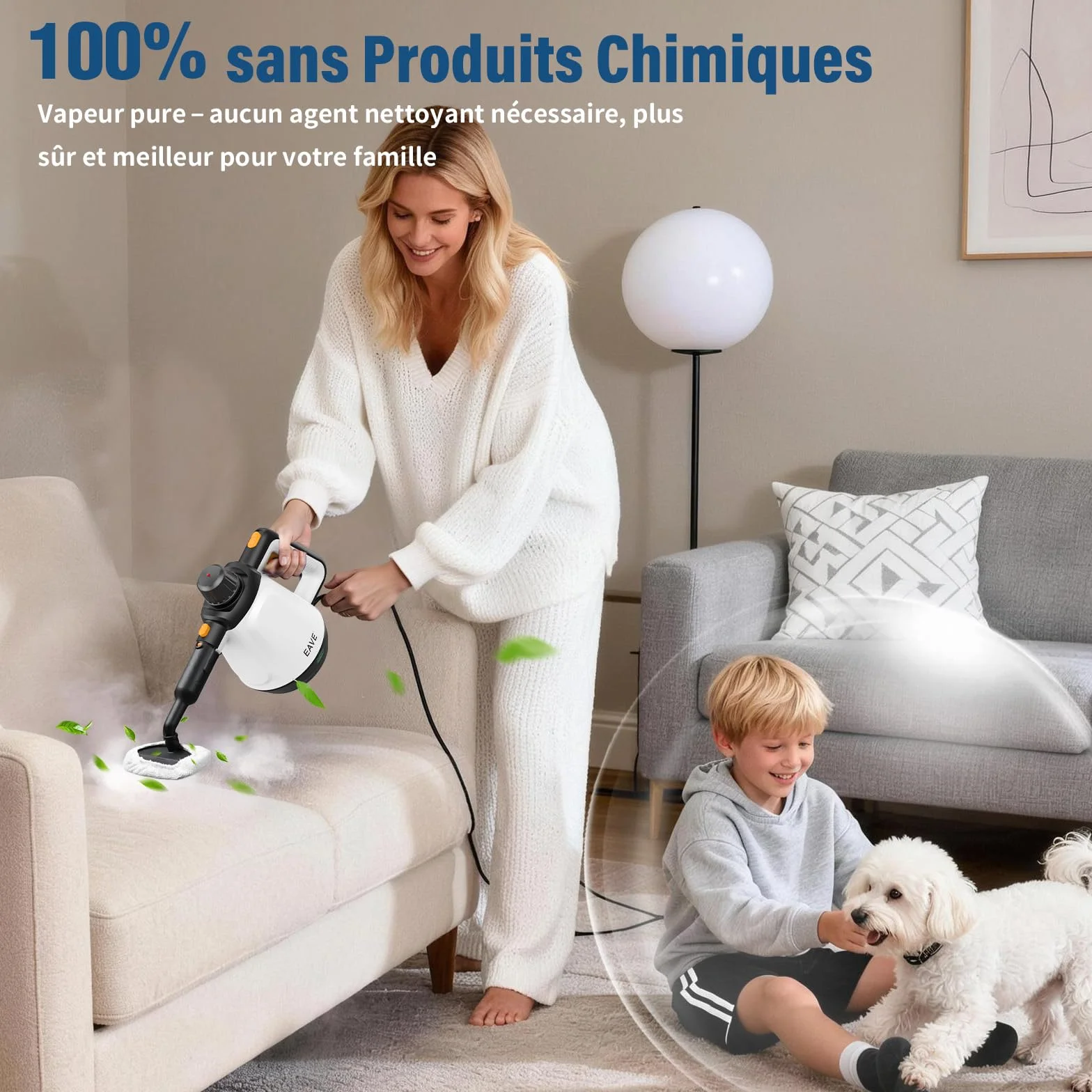 Nettoyeur Vapeur Portable 110℃ Vaporetto 10 Accessoires Câble 5m Blanc