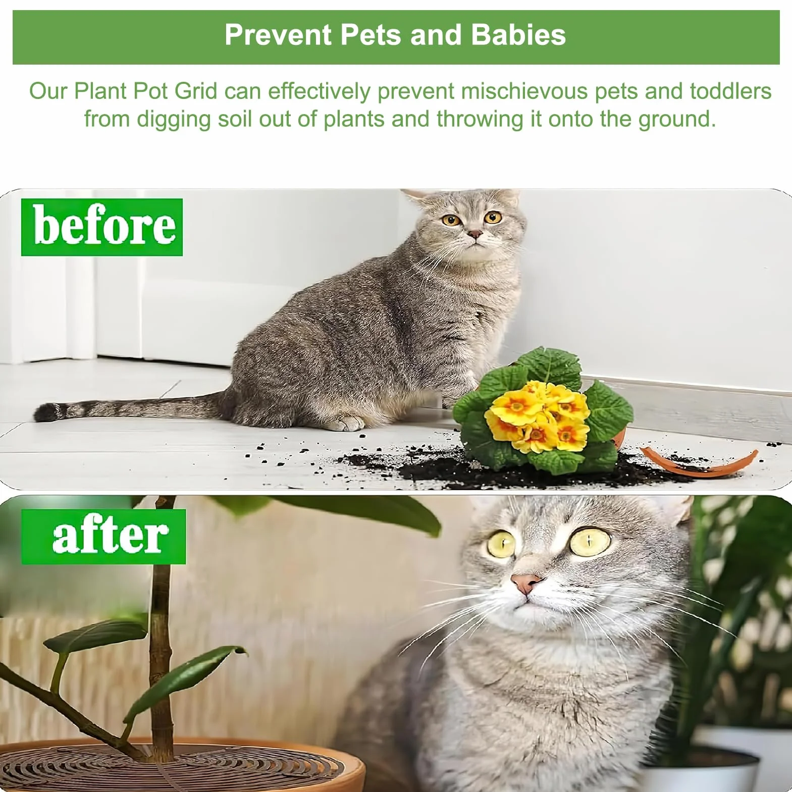 Grille pour Pot de Plantes 30cm Plastique Protecteur Fleur Chat Chien Anti-Fouille 4 Pièces