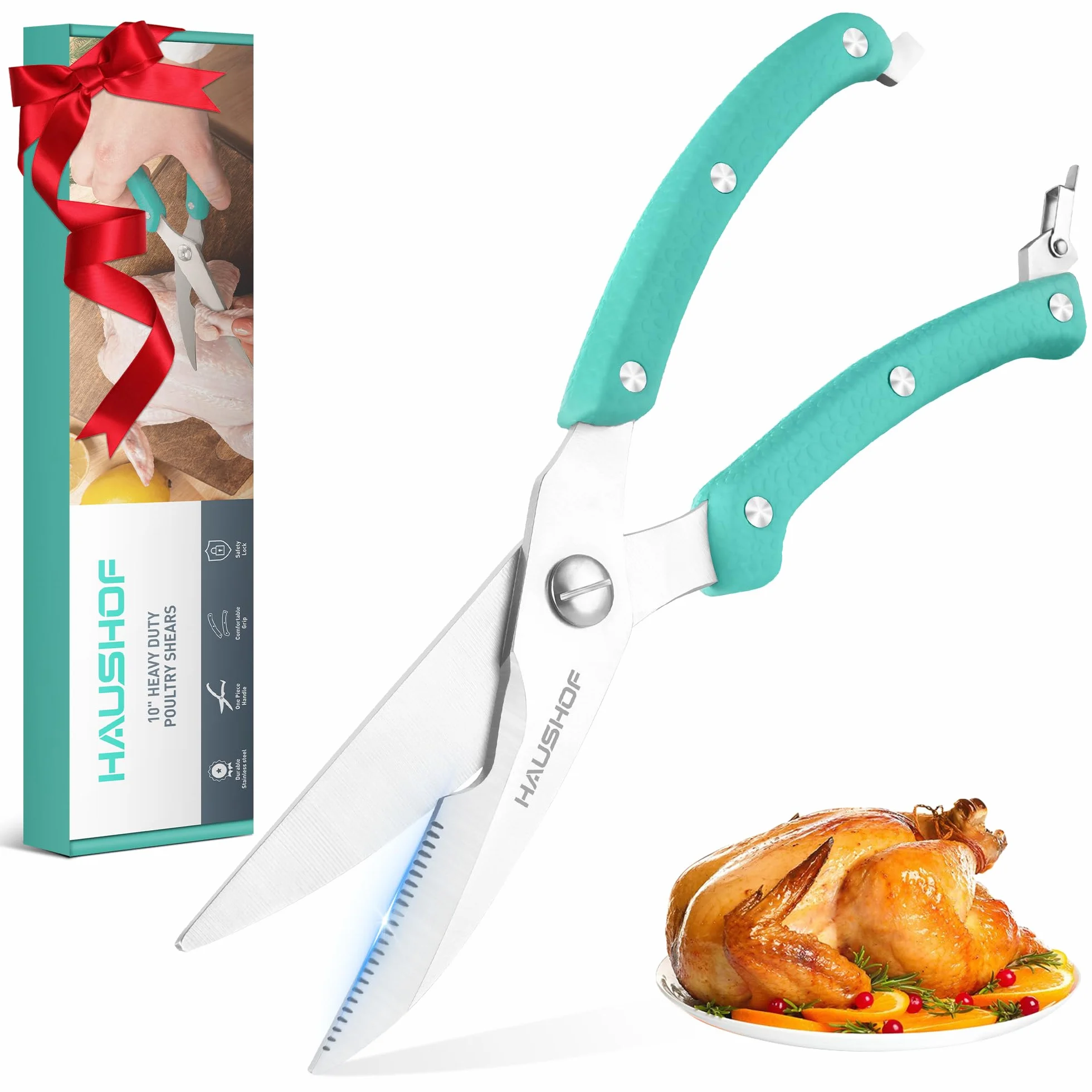 HAUSHOF Ciseaux à Volaille Robustes 255 mm, Acier Inoxydable, Ciseaux de Cuisine Professionnels