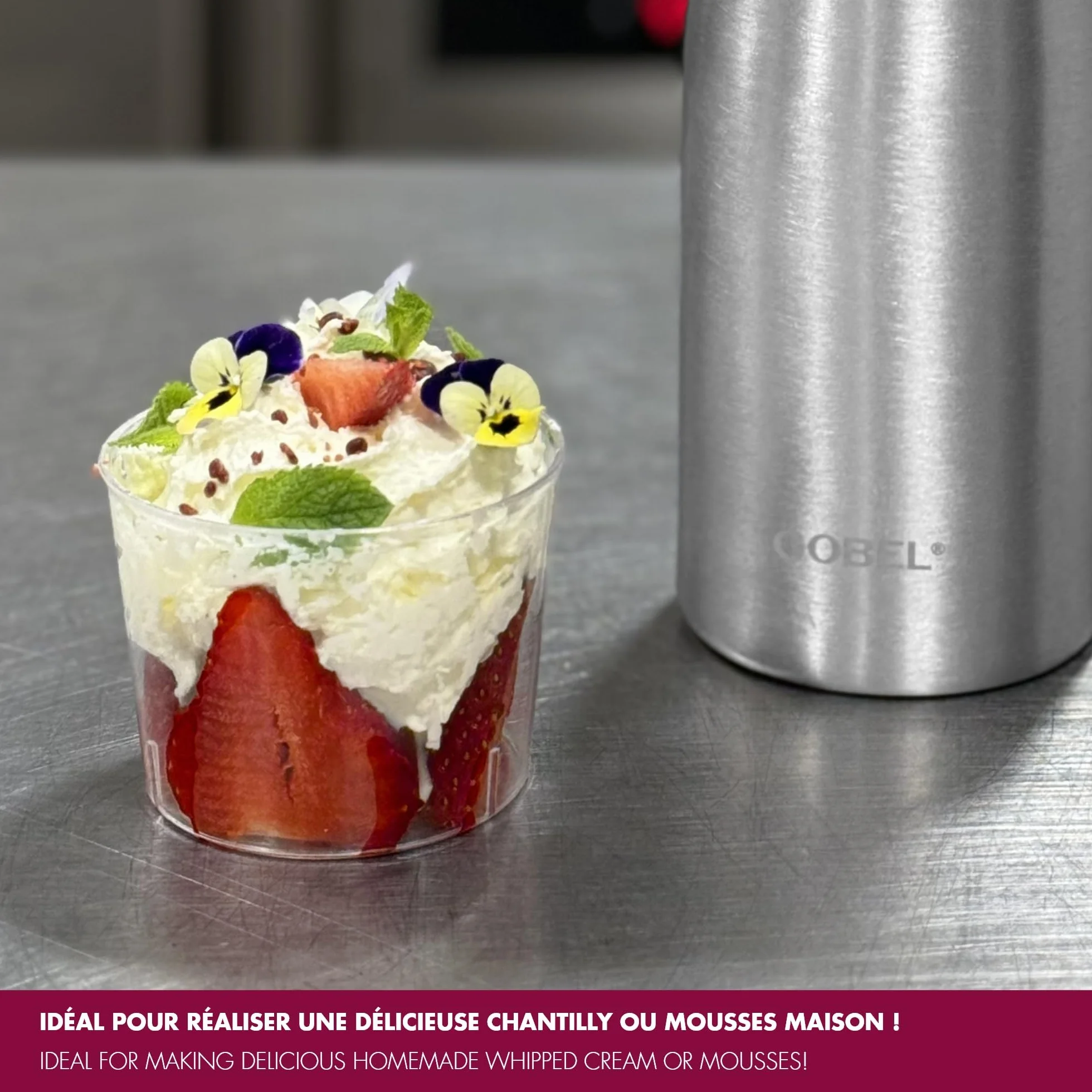 Siphon Chantilly 500 ml Aluminium Crème Chantilly Espumas Mousses 3 Douilles Brosse Professionnel Chaud/Froid Revêtement Antiadhérent