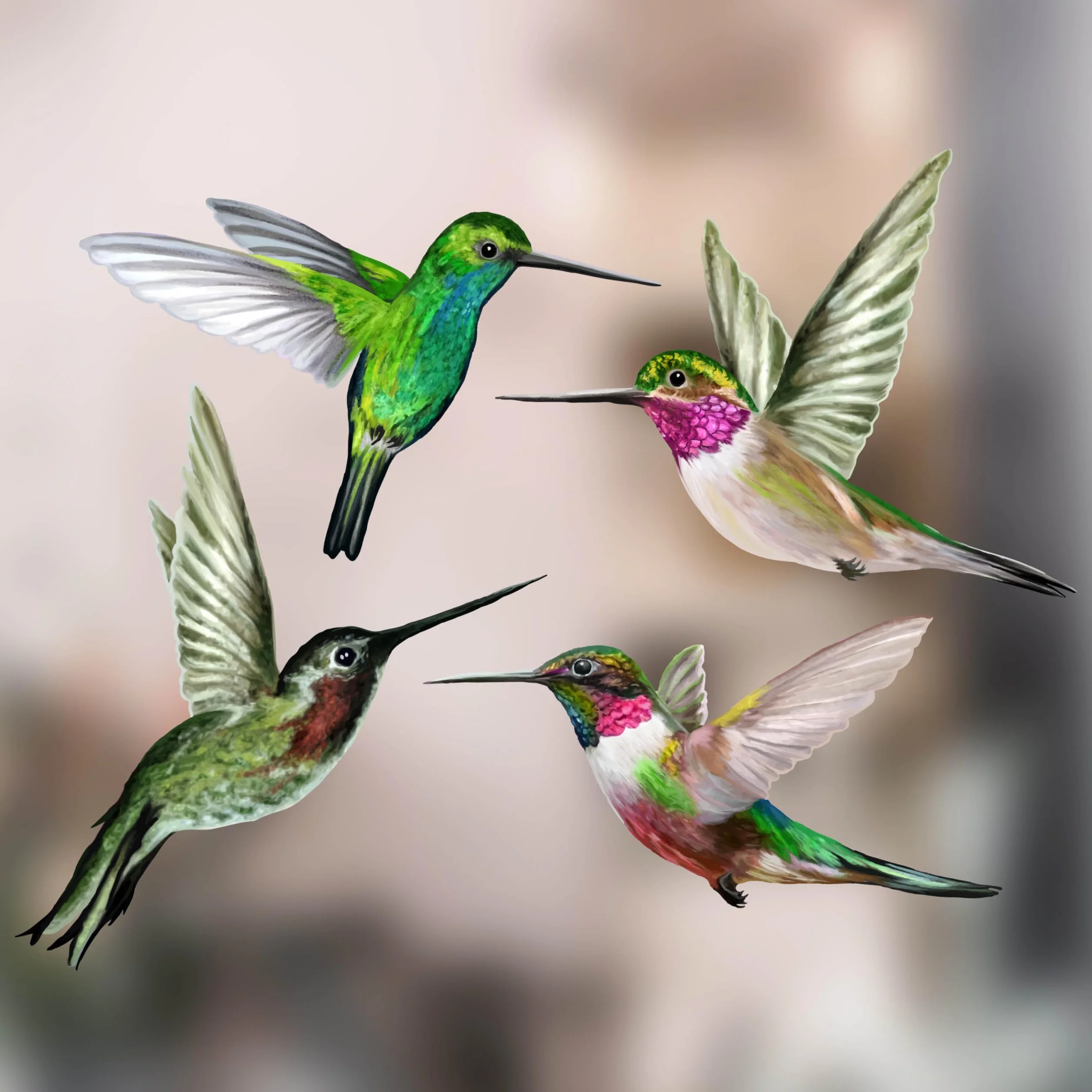 Stickers Fenêtre Colibri Anti-Collision Oiseaux - 4 Décoratifs Electrostatiques