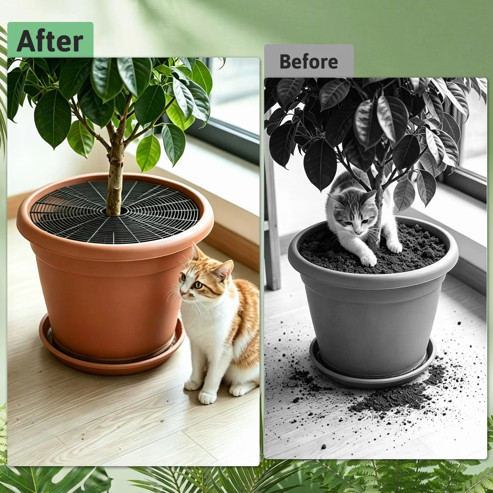 Lot de 2 grilles de protection pour pot de fleurs 50 cm protection plantes chat non toxiques